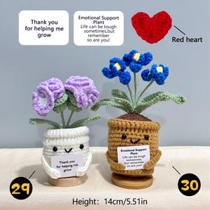 Pu&ograve; includere: Pianta all'uncinetto con fiori viola e blu in vasi sorridenti. Il vaso di fiori viola ha il testo "Thank you for helping me grow". Il vaso di fiori blu ha il testo "Emotional Support Plant". Altezza: 14 cm.