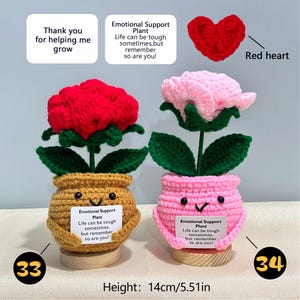 Pu&ograve; includere: Due vasi di fiori all'uncinetto, uno giallo senape e uno rosa, ciascuno con una faccia sorridente e un fiore all'uncinetto. I fiori rossi e rosa sono sopra foglie verdi. Altezza: 14 cm.
