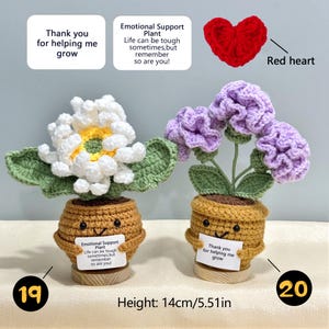 Pu&ograve; includere: Composizioni floreali all'uncinetto in vasi, una con fiori bianchi e gialli, l'altra con fiori viola. Ogni vaso ha una faccia sorridente e un messaggio. Altezza: 14 cm.