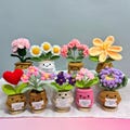 Handmade Crochet Plant,Emotional Support Crochet Flower,Teacher Appreciation Gift,Mother's Day gift,Crochet Daisy\/Sunflower\/Rose\/Tulip