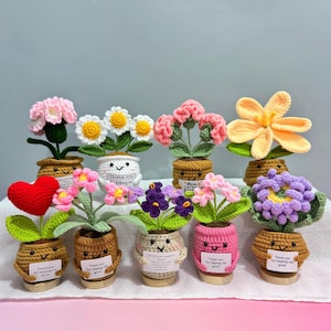 Pianta all'uncinetto fatta a mano, fiore all'uncinetto per supporto emotivo, regalo per ringraziare gli insegnanti, regalo per la festa della mamma, margherita/girasole/rosa/tulipano all'uncinetto