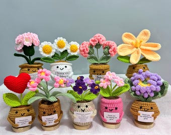 Handmade Crochet Plant,Emotional Support Crochet Flower,Teacher Appreciation Gift,Mother's Day gift,Crochet Daisy/Sunflower/Rose/Tulip