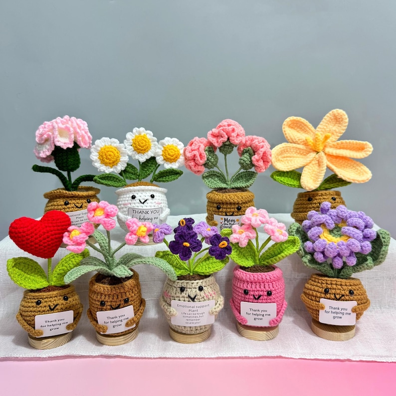 Pu&ograve; includere: Una collezione di fiori all'uncinetto fatti a mano in piccoli vasi. I fiori sono di vari colori, tra cui rosa, bianco, giallo e viola. Ogni vaso ha una faccia sorridente e una piccola etichetta che dice "Grazie per avermi aiutato a crescere."