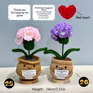Pu&ograve; includere: Due piante di fiori all'uncinetto in vasi sorridenti. Uno ha un fiore rosa, l'altro un fiore viola. Ogni vaso ha un'etichetta con la scritta "Emotional Support Plant". Altezza: 14 cm.