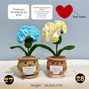 Pu&ograve; includere: Due piante di fiori all'uncinetto con fiori blu e gialli, ciascuna in un vaso marrone con una faccia sorridente. Le piante hanno steli e foglie verdi. Un vaso ha un cartello con scritto "Grazie per avermi aiutato a crescere". L'altezza &egrave; di 14 cm.