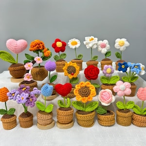 Può includere: Una collezione di fiori all'uncinetto fatti a mano in piccoli vasi marroni. I fiori sono di vari colori, tra cui rosa, arancione, rosso, giallo, bianco, viola e blu. Ogni fiore ha foglie verdi ed è esposto su una superficie chiara.
