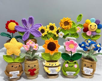 Handmade Crochet Plant,Emotional Support Crochet Flower,Teacher Appreciation Gift,Father's Day gift,Crochet Daisy/Sunflower/Rose/Tulip