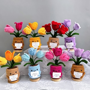Puede incluir: Una colección de plantas de tulipanes hechas a mano con ganchillo en varios colores, incluyendo rosa, amarillo, rojo y morado. Cada planta está en una maceta pequeña con una cara sonriente y un mensaje de apoyo. Los tulipanes se exhiben sobre una superficie blanca.