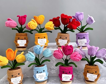 Adorabili piantine di tulipano all'uncinetto in vaso, "Grazie per avermi aiutato a crescere", pianta di supporto emotivo, decorazione per la casa, regalo per lei, regalo per la festa della mamma
