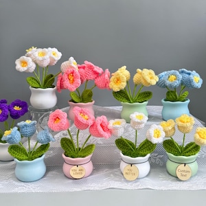 Puede incluir: Una colección de flores de ganchillo coloridas en pequeñas macetas de cerámica. Las flores son de varios colores, incluyendo blanco, rosa, amarillo y azul, con hojas verdes. Algunas macetas tienen etiquetas de madera con texto. Las flores están dispuestas sobre una superficie de encaje blanco.