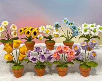 Handmade Crochet Daisy/Lily of the Valley,Emotional Support Potted Plant,Supportive Gift Au Flower,Supportive Positive,Mother's Day gift