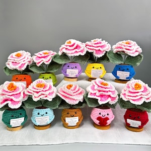 May include: A collection of handmade crochet flowers with pink and white petals, green leaves, and colorful pots. Each pot has a smiling face and a small message. The flowers are displayed on wooden bases.