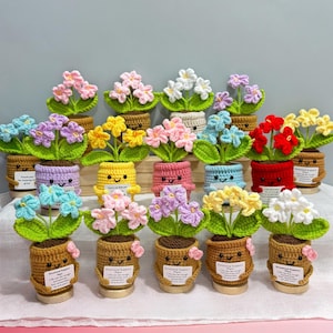 Puede incluir: Una colección de coloridas plantas de flores de ganchillo en macetas sonrientes. Las flores son de varios colores, incluyendo rosa, morado, amarillo, azul y rojo. Cada maceta tiene una cara sonriente y una pequeña etiqueta con texto.
