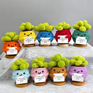 May include: A selection of crocheted succulent plant ornaments in various colours. Each plant pot has a smiling face and a small sign saying "Thank you for helping me grow".