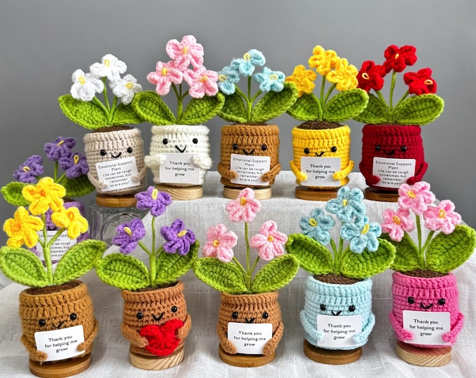 Handmade Crochet Forget me not Flowers with Hugging Heart,Emotional Support Potted Plant,Supportive Gift Au Flower,Mother's Day gift