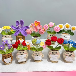 May include: A collection of handmade crochet flowers in small pots. The flowers are various colors, including yellow, purple, pink, and red. Each pot has a smiling face and a small tag that reads "Emotional Support Plant".