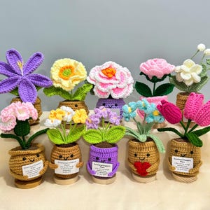 May include: A collection of handmade crochet flowers in various colors, including purple, pink, yellow, and white. Each flower is planted in a small, smiling pot with arms, some holding a heart. The pots have a wooden base and a tag that reads "Emotional Support Plant."