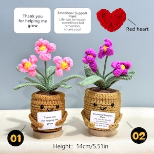 Pu&ograve; includere: Due piante in vaso all'uncinetto fatte a mano con fiori rosa e viola. Ogni vaso &egrave; un volto sorridente che tiene un cartello. Uno dice "Grazie per avermi aiutato a crescere", l'altro "Emotional Support Plant". Altezza: 14 cm.