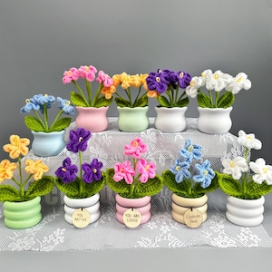 Könnte beinhalten: Eine Sammlung handgefertigter Häkelblumen in verschiedenen Farben, darunter Rosa, Gelb, Blau, Lila und Weiß. Jede Blume ist in einem dekorativen Keramiktopf gepflanzt. Einige Töpfe haben Holzanhänger mit Texten wie "You Matter" und "You Are Loved".