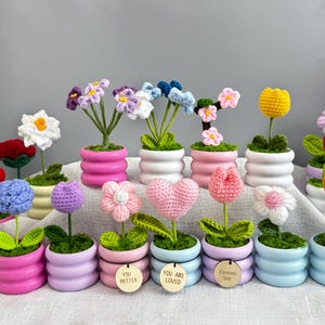 Op de afbeelding: Een verzameling kleurrijke gehaakte bloemen in kleine, decoratieve potten. De bloemen omvatten een verscheidenheid aan stijlen, zoals tulpen, madeliefjes en hartvormige ontwerpen. Sommige potten hebben houten labels met zinnen als "You Matter" en "You Are Loved".