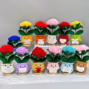May include: A display of handmade crochet flowers in various colours, including red, yellow, pink, blue, and purple. Each flower sits in a pot with a smiling face and arms, holding a small sign. The flowers are presented on wooden bases.