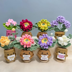 Plante en pot au crochet faite main, cadeau de fête des mères pour maman et grand-mère, décoration de bureau, plante de soutien émotionnel, cadeau personnalisé pour elle, lys au crochet