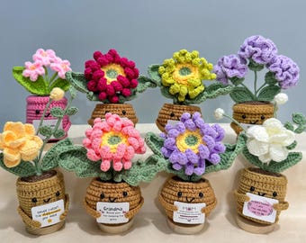 Handmade Crochet Potted Plant,Mother's Day Gift for Mom Grandma,Desk Decor, Emotional Support Plant, Personalized Gift for Her,Crochet lily