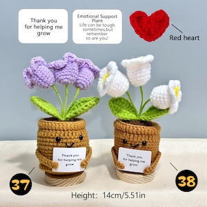 Pu&ograve; includere: Vasi di fiori all'uncinetto con fiori viola e bianchi, foglie verdi e facce sorridenti. Ogni vaso porta un cartello con la scritta "Thank you for helping me grow". Altezza: 14 cm.