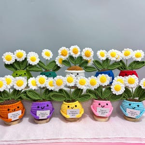 Peut inclure: Une collection de fleurs en pot crochetées dans diverses couleurs, notamment orange, violet, jaune, rose et bleu. Chaque pot présente un visage souriant et porte une étiquette blanche avec le texte Thank you for helping me grow. Les fleurs ont des pétales blancs et des cœurs jaunes avec des feuilles crochetées vertes.