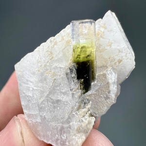 Natural Tri-Color Tourmaline Crystal on Albite Matrix from Afghanistan