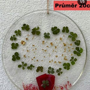Real Four Leaf Clover Resin Art – Lucky Clover Wall Decor from Czech Republic – Unique Gift of Good Luck – Pressed Botanical Resin Frame
