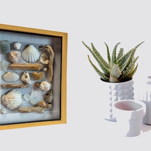 Puede incluir: Un marco con conchas marinas y madera flotante. Una planta de aloe vera en maceta y jarrones de cerámica blanca también están en la imagen. El marco es de madera con borde negro.