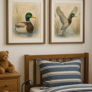 Mallard Watercolor Wall Art