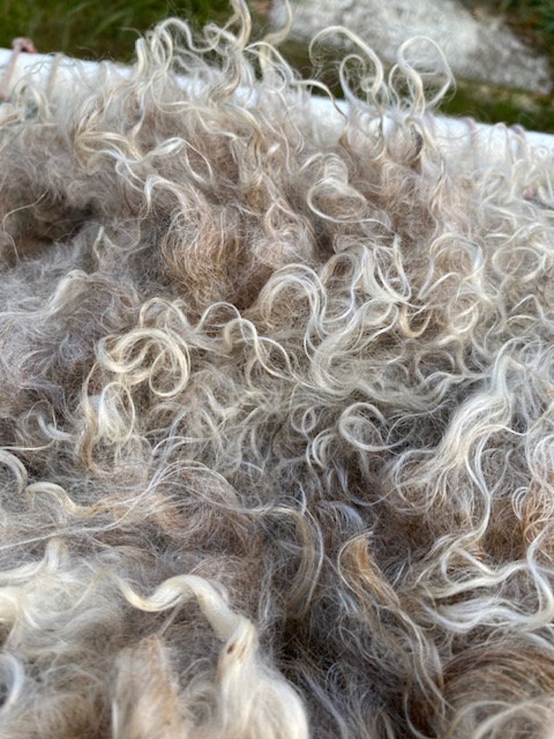 1 Lb Raw Mohair Fleece, Unwashed, Faded Brown, Very Clean, Angora Goat