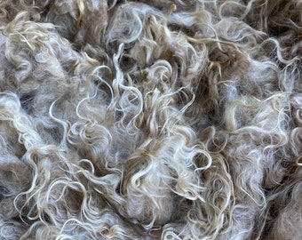 1 lb 14 oz Raw Mohair Fleece, Unwashed, Honey Color, Very Clean, Angora Goat, Curly Locks, Fine Adult, Spinning, Blending, Felt, “Versace”