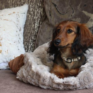 Luxury Pet Snuggle Sack