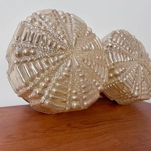 Könnte beinhalten: Zwei dekorative Glasleuchten mit einem strukturierten, stacheligen Design. Die Leuchten haben eine hellbernsteinfarbene Farbe und stehen auf einer Holzoberfläche. Das Design ähnelt einem Seeigel oder einem Stern, was jedem Interieur eine einzigartige Note verleiht.