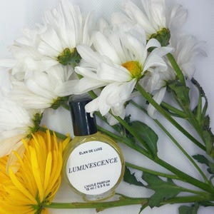 May include: A small, round perfume bottle with a black cap, labeled "LUMINESCENCE" and "L'HUILE PARFUM 15 ml / 0.5 fl oz." is surrounded by white and yellow chrysanthemums. The bottle is filled with a light yellow liquid, and the flowers have green stems.