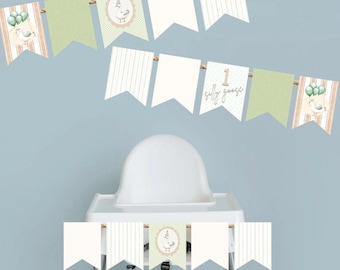 One Silly Goose Birthday Party Banner | Silly Goose Decor | Sage First Birthday | Birthday Banner | 1st Birthday Pennant Banner