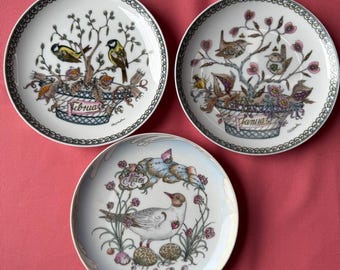 Hutschenreuther Collector Plates - Months Series - Ole Winter