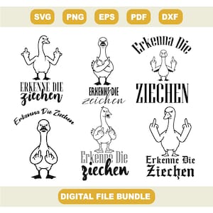 Recognize the Signs Funny Seagull SVG, Cheeky Bird Quote Design, Cricut Plotter Cut File, Digital Download Print