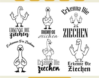 Recognize the Signs Funny Seagull SVG, Cheeky Bird Quote Design, Cricut Plotter Cut File, Digital Download Print