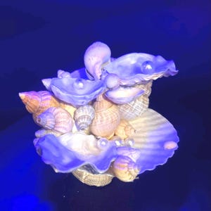 Enchanted Seashell Jewellery Holder | Ocean-Inspired Treasure| Jewellery Dish | Dressing Table Storage | Jewellery Display | Unique Gift