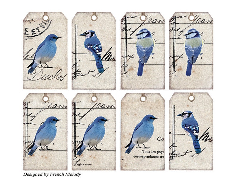 Printable Hang/gift Tags Bird Portrait Collection 3 Etsy