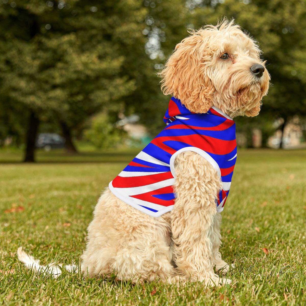 WMSUOHA] スウェット パーカー 上下セット フレンチブルドッグ 犬柄 漫画 ジャージ レデイース ウェア トレーニングウェ WMSUOHA]  スウェット パーカー 上下セット フレンチブルドッグ 黒と白 犬柄 ジャージ レデイース ウェア トレーニングウ WMSUOHA] スウェット ..., image size:1200x1200