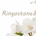 Owner of <a href='https://www.etsy.com/shop/Ringostone?ref=l2-about-shopname&from_page=listing' class='wt-text-link'>Ringostone</a>