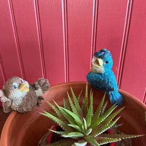 Peut inclure: Un pot en terre cuite avec une plante succulente et trois figurines d'oiseaux décoratives. Les oiseaux sont peints dans des tons de marron, de bleu et de jaune. Le fond est un mur à panneaux rouges.