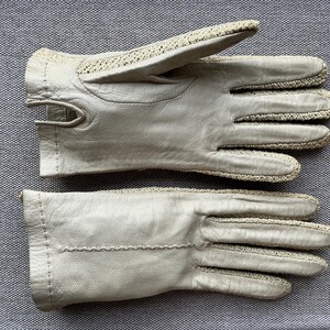 Peccary gloves - Etsy 日本
