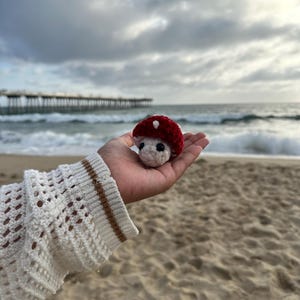 May include: A handmade crochet mushroom with a red cap and white spots is held in a hand. The mushroom has a white stem and a smiling face. The background shows a beach, ocean, and cloudy sky.