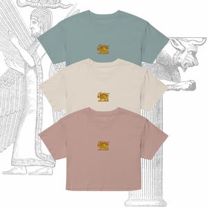 Shir-o-khorshid レディース クロップトップ